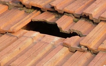 roof repair Bryn Y Cochin, Shropshire